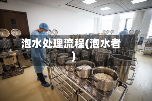 泡水处理流程(泡水者)-第2张图片