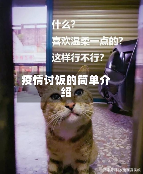 疫情讨饭的简单介绍-第3张图片