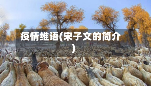 疫情维语(宋子文的简介)-第2张图片