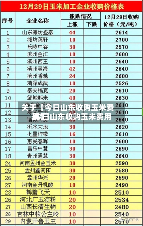 关于【今日山东收购玉米费用,今日山东收购玉米费用表】-第2张图片