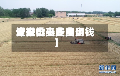 近来【安微小麦费用安微小麦费用今日价一斤多少钱】-第3张图片