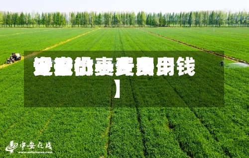 近来【安微小麦费用安微小麦费用今日价一斤多少钱】-第2张图片