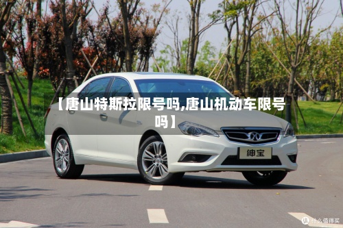 【唐山特斯拉限号吗,唐山机动车限号吗】