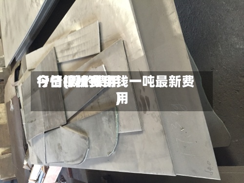 今日镍板费用行情(镍的费用今日报价多少钱一吨最新费用)