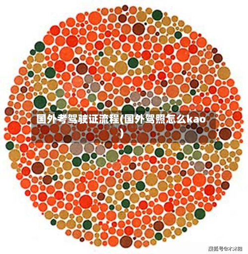 国外考驾驶证流程(国外驾照怎么kao)-第3张图片