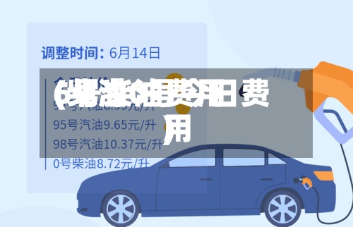 6号柴油费用(柴油0号今日费用)