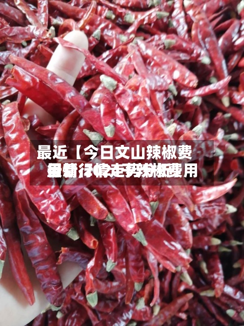 最近【今日文山辣椒费用行情,2024干辣椒费用最新行情走势分析】-第2张图片