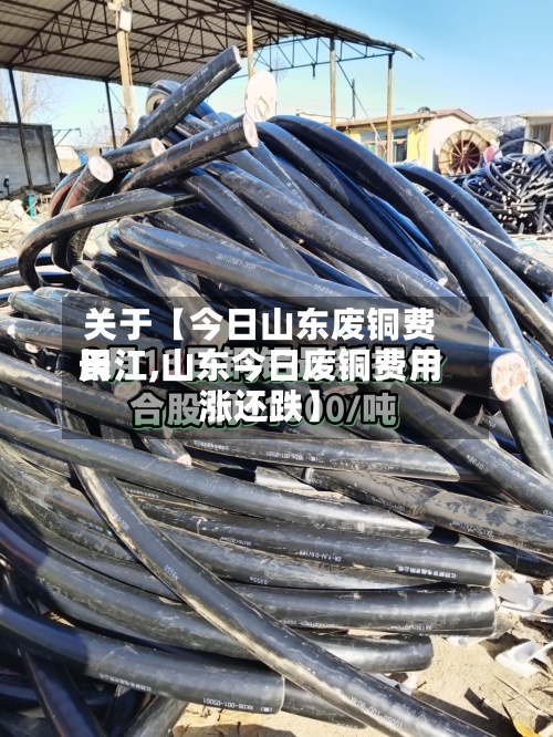 关于【今日山东废铜费用长江,山东今日废铜费用涨还跌】-第2张图片