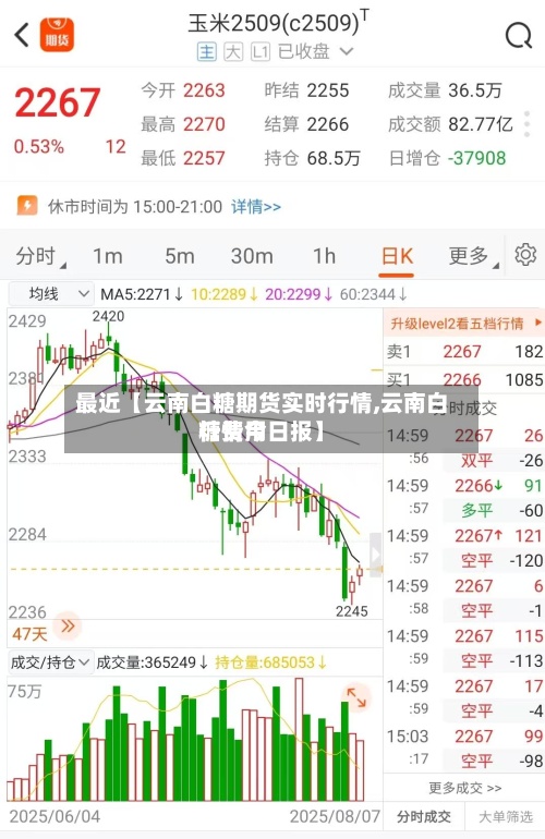 最近【云南白糖期货实时行情,云南白糖费用
行情今日报】-第2张图片