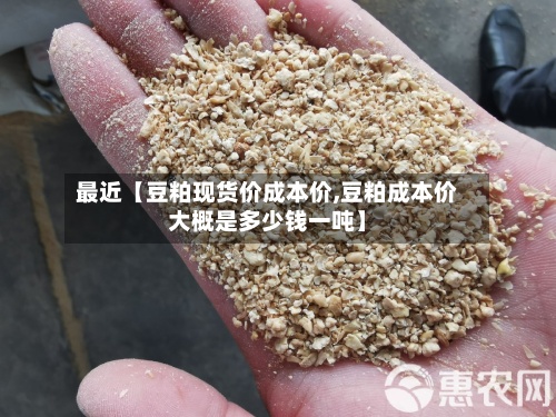 最近【豆粕现货价成本价,豆粕成本价大概是多少钱一吨】-第2张图片