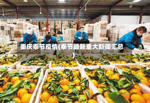 重庆奉节疫情(奉节最新重大新闻汇总)-第2张图片
