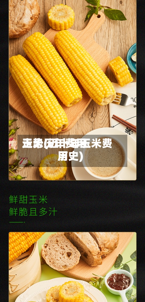 玉米历年费用走势(近十年玉米费用历史)