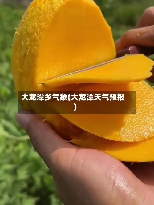 大龙潭乡气象(大龙潭天气预报)-第3张图片