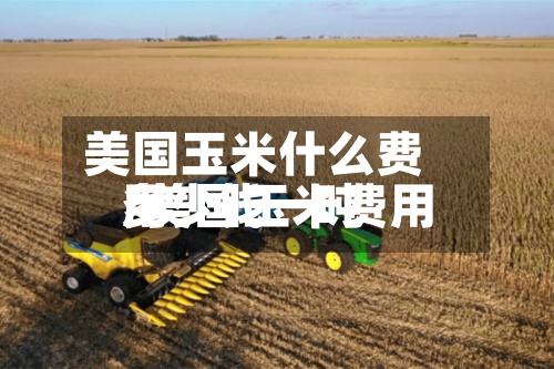美国玉米什么费用/美国玉米费用多少钱一吨