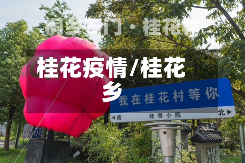 桂花疫情/桂花乡