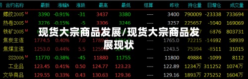 现货大宗商品发展/现货大宗商品发展现状