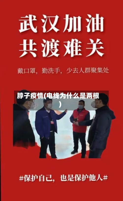 脖子疫情(电线为什么是两根)
