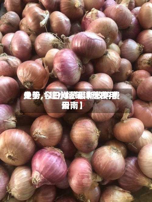 关于【建水缅甸洋葱费用走势,今日洋葱最新收购费用云南】-第2张图片