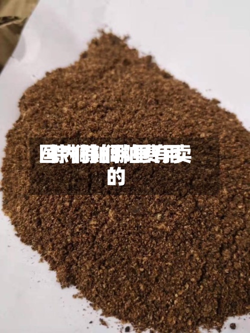 国内棕榈粕费用/棕榈粕哪里有卖的
