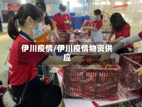 伊川疫情/伊川疫情物资供应-第3张图片
