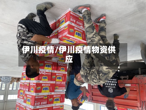伊川疫情/伊川疫情物资供应
