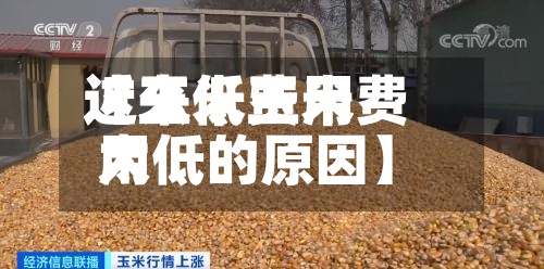 近来【玉米费用这么低玉米费用太低的原因】-第2张图片