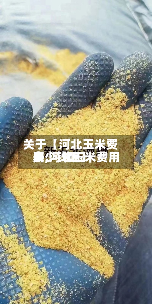 关于【河北玉米费用表,河北玉米费用多少钱呢】-第2张图片
