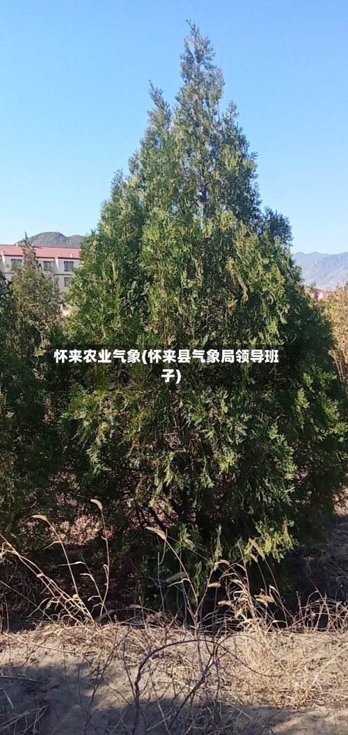 怀来农业气象(怀来县气象局领导班子)