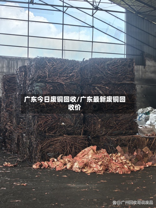 广东今日废铜回收/广东最新废铜回收价
