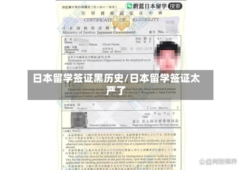 日本留学签证黑历史/日本留学签证太严了-第3张图片