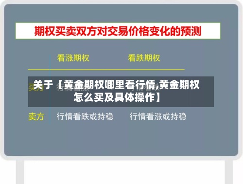 关于【黄金期权哪里看行情,黄金期权怎么买及具体操作】-第2张图片