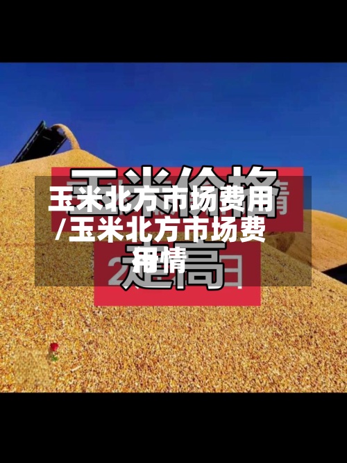 玉米北方市场费用/玉米北方市场费用行情-第2张图片