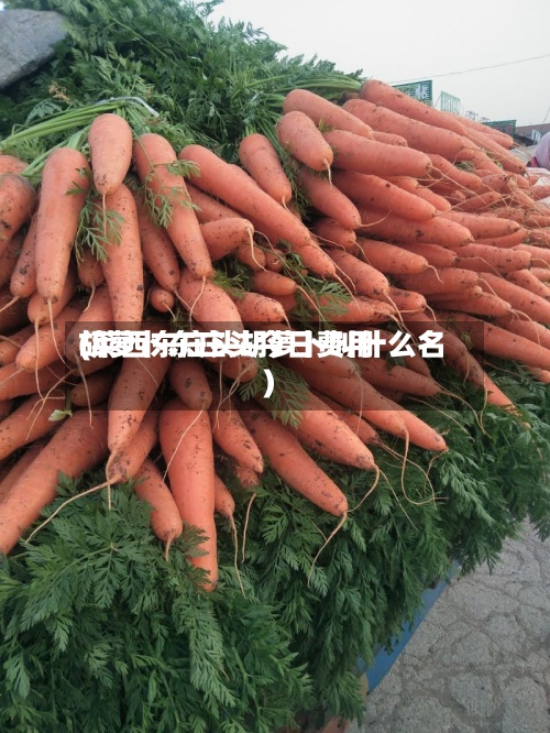 胡萝卜东庄头今日费用(莱西东庄头胡萝卜叫什么名)
