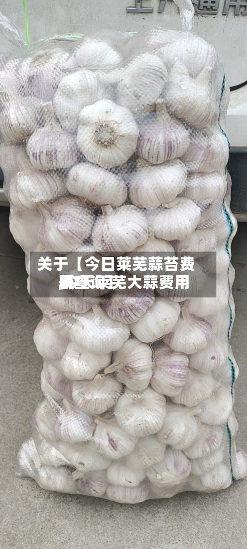 关于【今日莱芜蒜苔费用,今天莱芜大蒜费用表查询】