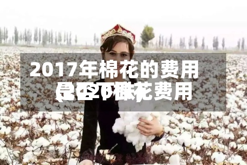2017年棉花的费用(2020棉花费用是否下跌)-第2张图片