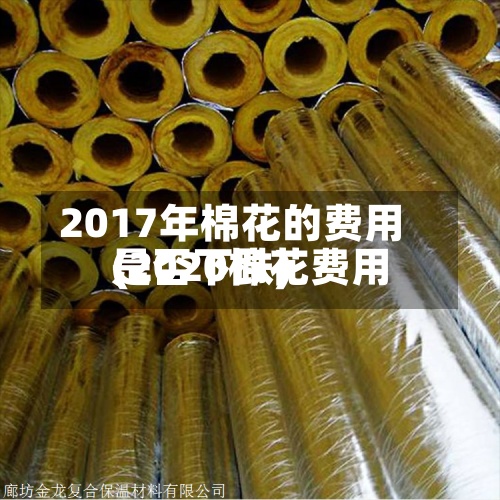 2017年棉花的费用(2020棉花费用是否下跌)-第3张图片
