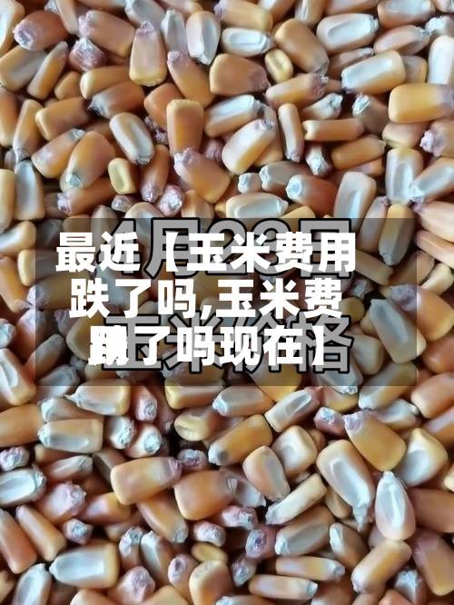 最近【玉米费用
跌了吗,玉米费用
跌了吗现在】