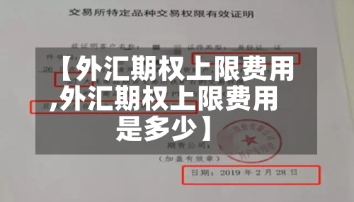 【外汇期权上限费用,外汇期权上限费用是多少】-第3张图片