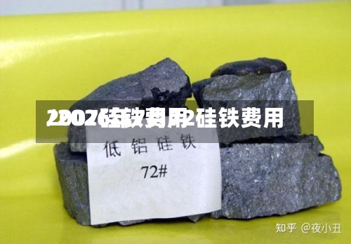 2007硅铁费用/2026年7月72硅铁费用-第2张图片
