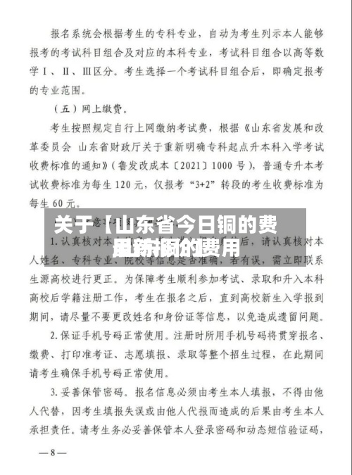 关于【山东省今日铜的费用,山东铜的费用最新报价】-第2张图片
