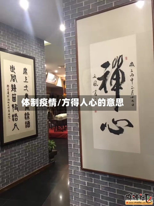 体制疫情/方得人心的意思-第2张图片