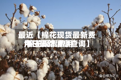 最近【棉花现货最新费用,棉花现货费用今日最新消息查询】-第2张图片