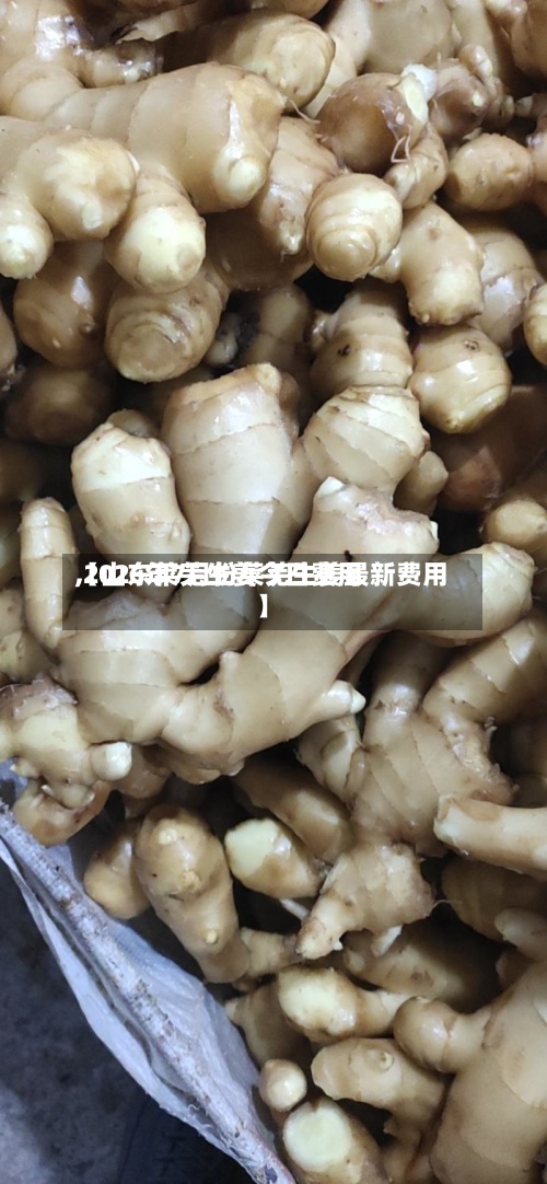 【山东莱芜生姜今日费用,2026年7月份莱芜生姜最新费用】-第2张图片