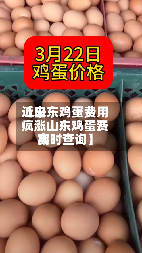 近来【山东鸡蛋费用疯涨山东鸡蛋费用实时查询】-第3张图片