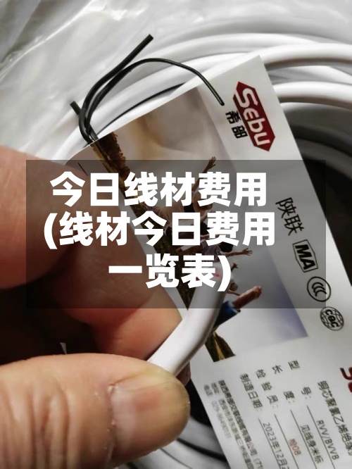 今日线材费用(线材今日费用一览表)-第3张图片