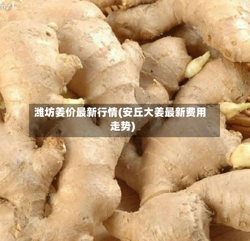 潍坊姜价最新行情(安丘大姜最新费用走势)-第2张图片
