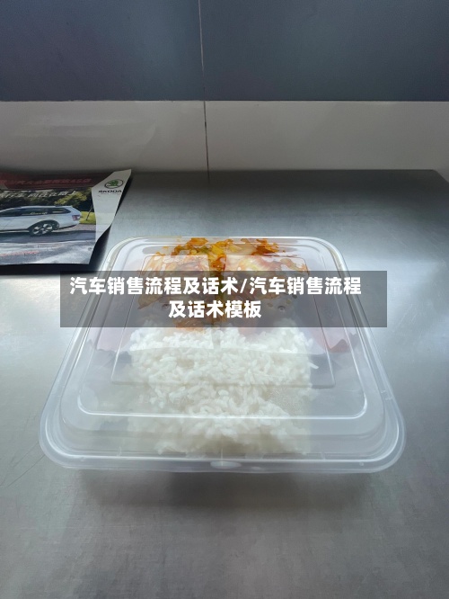 汽车销售流程及话术/汽车销售流程及话术模板-第3张图片