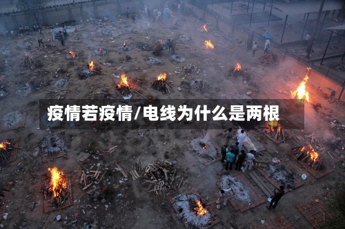 疫情若疫情/电线为什么是两根