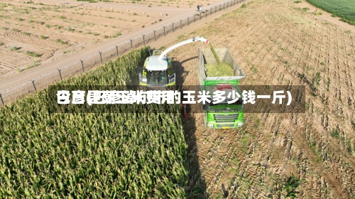 巴彦县潮玉米费用今日(巴彦淖尔市的玉米多少钱一斤)