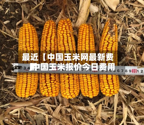 最近【中国玉米网最新费用,中国玉米报价今日费用】